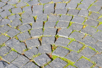 The road is paved with stones