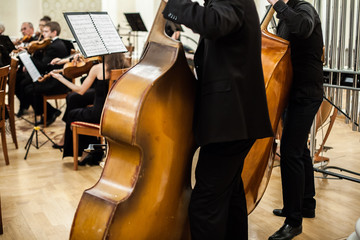 Musician