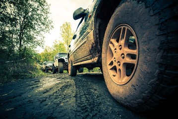 Fototapeta na wymiar OffRoad Forest Expedition