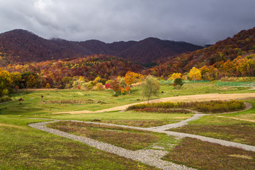 View Beautiful Autumn in Japan