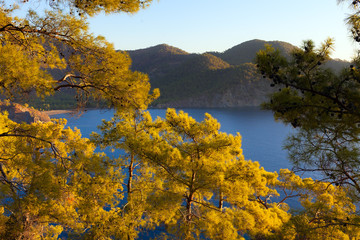 Obraz premium Turkish landscape with Olympos mountain, beach green forest