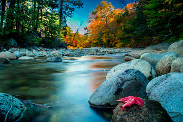 New Hampshire During Autumn - Pemigewasset River