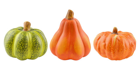 Set of decorative pumpkins