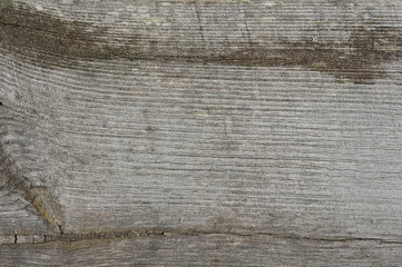 Fototapeta premium old wooden board