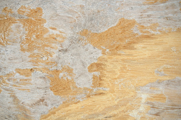 Old wood background or texture