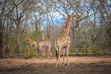 Giraffee