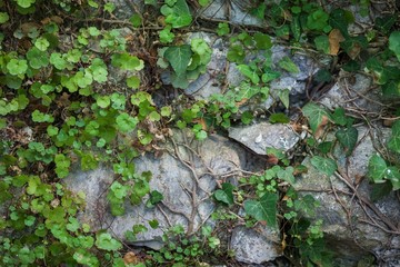 Obraz premium Lipari.