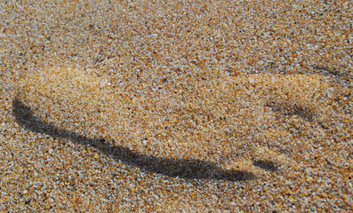 Fototapeta na wymiar Footprint on a sunny summer sandy beach