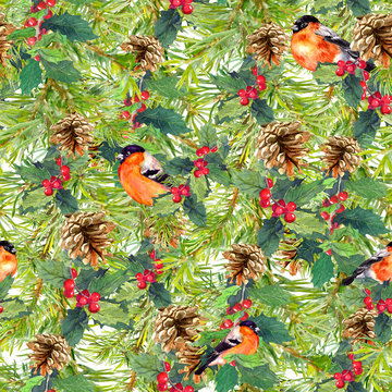Spruce tree branches, birds, cones, mistletoe. Christmas seamless background. Watercolor