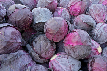 Fototapeta na wymiar Red cabbage on the market in Bulgaria
