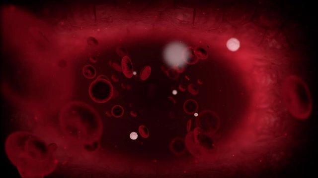 Blood cells in the vein. Medical animation