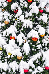 Colorful Christmas toys on a new year fir tree covered with snow background