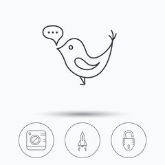 Photo, social media and rocket icons. Open lock linear sign. Linear icons in circle buttons. Flat web symbols. Vector