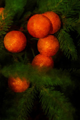 Fir branch and tangerines. Christmas New Year composition with fir branches and orange tangerines.
