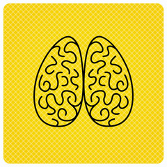 Neurology icon. Human brain sign. Linear icon on orange background. Vector