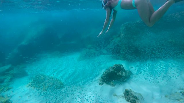 couple snorkeling underwater in Virgin Gorda, British Virgin Islands