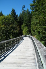 Fototapeta na wymiar Old Wooden Train Trestle Bridge Converted into Hiking Walking Biking Cycling Path