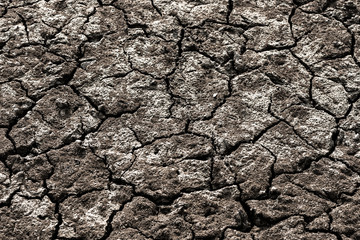 Cracked earth