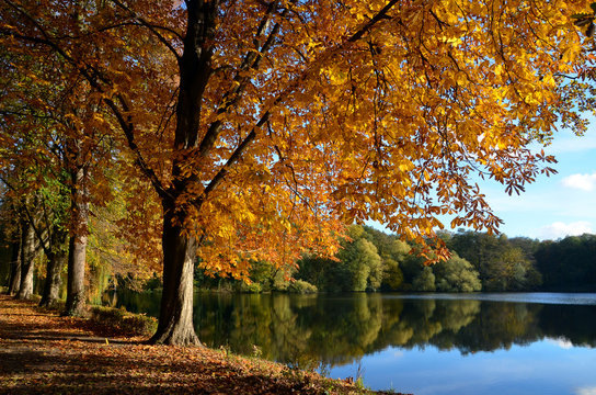 volkspark jungfernheide