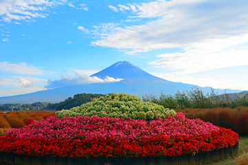 Mt. Fuji, Japan