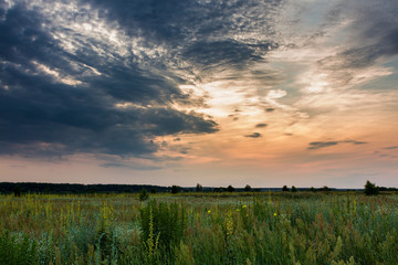 Sunset and wild meadow