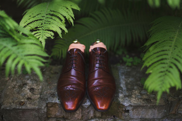 closeup of male leather shoes with perforated ornament on stone wall, fern growing around