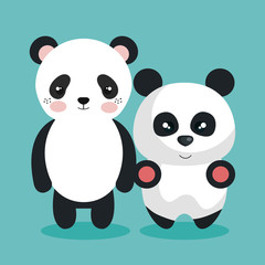cute couple stuffed animals vector illustration design