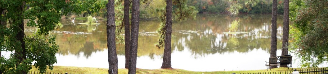 Pond view from the backyard