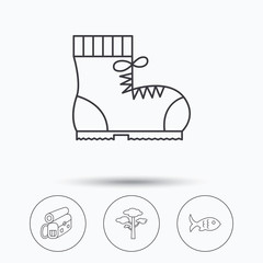 Pine tree, fish and hiking boots icons. Bonfire linear sign. Linear icons in circle buttons. Flat web symbols. Vector