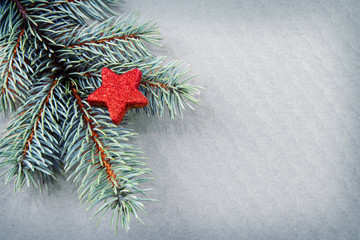 Red star on green spruce branch isolated .