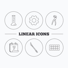 Lab beaker, tablets and dental pliers icons. Scalpel linear sign. Flat cogwheel and calendar symbols. Linear icons in circle buttons. Vector