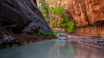 The Narrows Zion National Park Smoothness