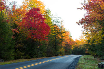 Obraz premium Highway through fall foliage
