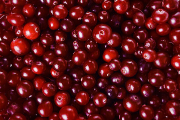 ripe cranberry background