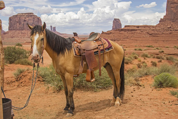Fototapeta na wymiar Monument Valley, cheval, usa