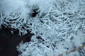 Fototapeta premium snow