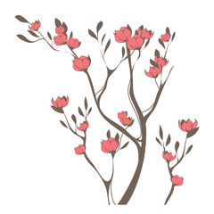 Beautiful image of cherry blossoms branch. Vector illustration.