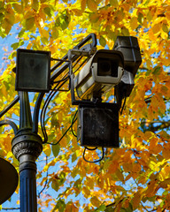 Überwachung (CCTV) im Kurpark, Wiesbaden 2016