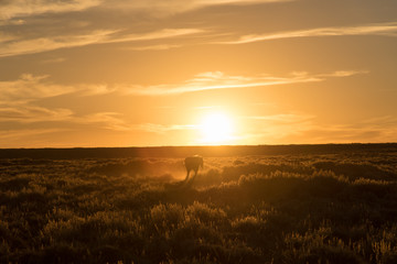 Wild Horse Scenic Loop near Rock Springs, Wyoming