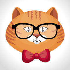 hipster cat glasses and bow vector illustration eps 10