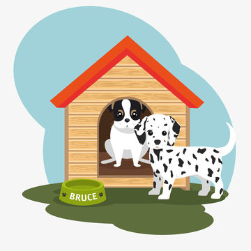 two dog house bowl food vector illustration eps 10