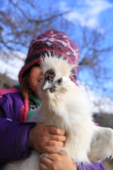 Gallina sedosa niña