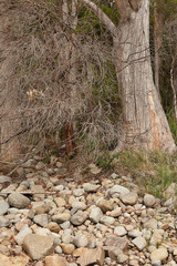 Stewarts Bay Tasmania