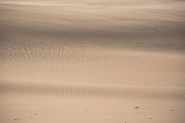 Moving dunes park near Baltic Sea in Leba, Poland