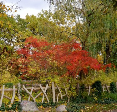 Herbstlicher Park