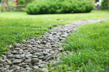 Stone footpath on a grass