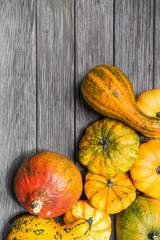 Colorfull pumpkins on a rustic wooden table