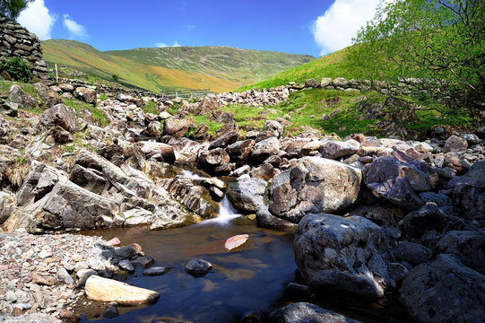 Little Tongue Gill