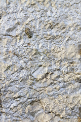 Natural stone painted in silver; pattern, background, graffiti, mural.