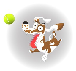 Vector illustration, funny dog and tennis ball, on a white background